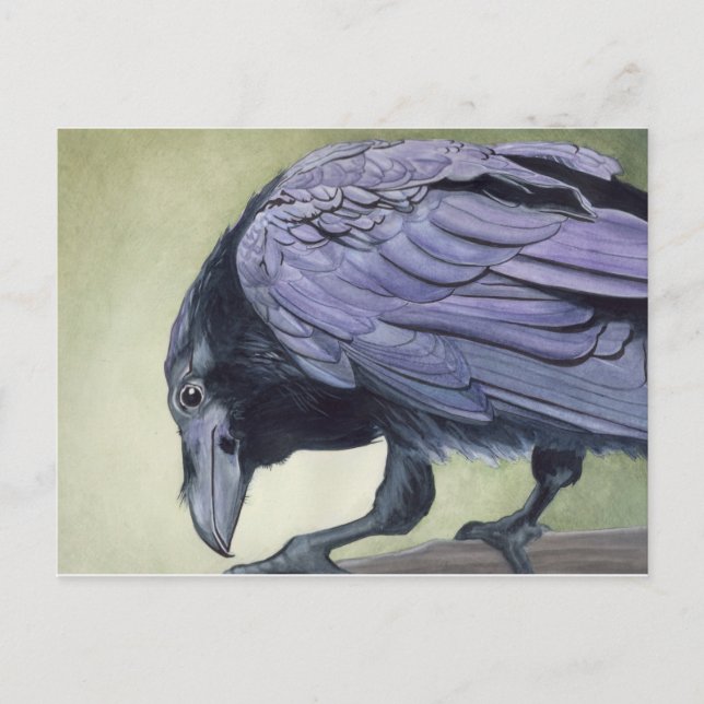 Watercolor Raven Postcard (Front)