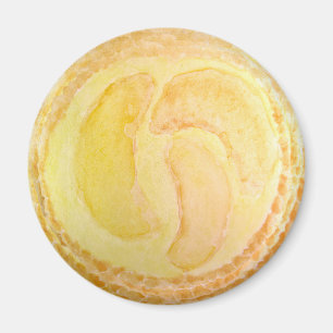 Watercolor Realistic Peach Fruit Tart Magnet