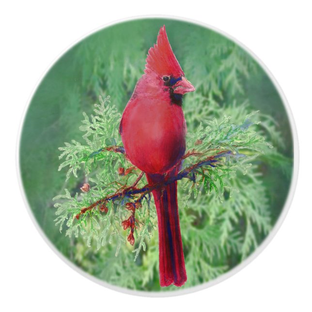 Watercolor Red Cardinal Bird nature art Ceramic Knob (Front)