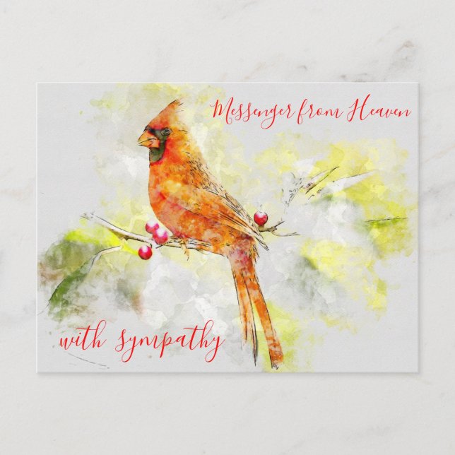 Watercolor Red Cardinal Messenger from Heaven Postcard (Front)