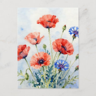 Watercolor Red Poppy Blue Cornflower Bouquet Postcard