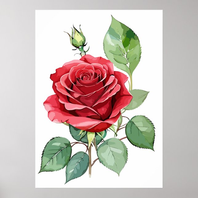 Watercolor Red Rose Modern Art Poster (Front)