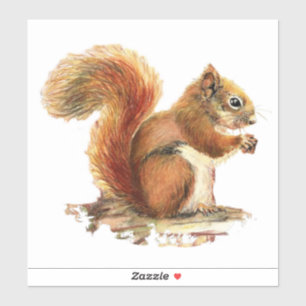 Watercolor Red Squirrel Animal Nature Wildlife Art