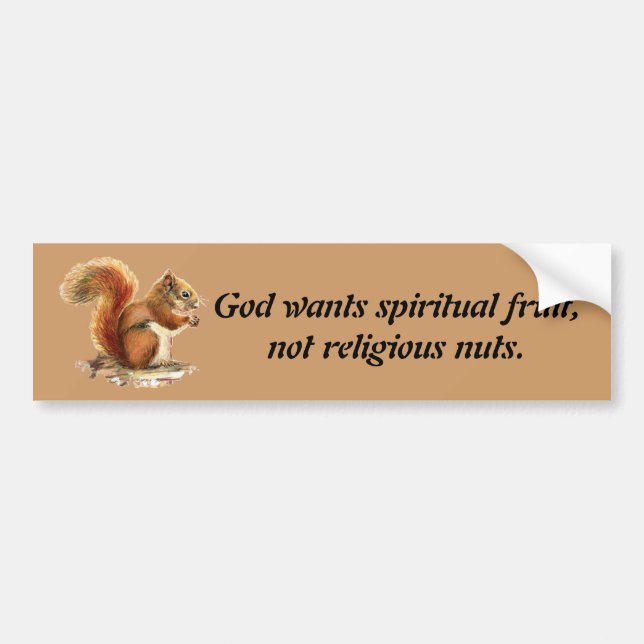 Watercolor Red Squirrel, Funny Quote Bumper Sticker (Front)