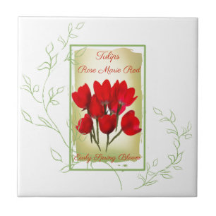 Watercolor Red Tulip Seed Packet Tile