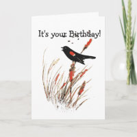 Watercolor Red Wing Blackbird Bird Nature art