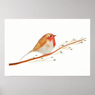 Watercolor Robin Bird Poster