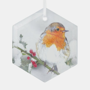 Watercolor Robin English Bird Wildlife Nature Art  Glass Tree Decoration