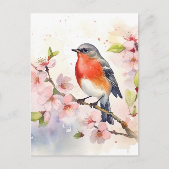 Watercolor Robin on Spring Cherry Blossom Branch Postcard (Front)