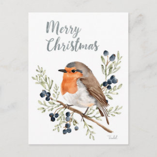 Watercolor Robin & Winter Berries Holiday Postcard