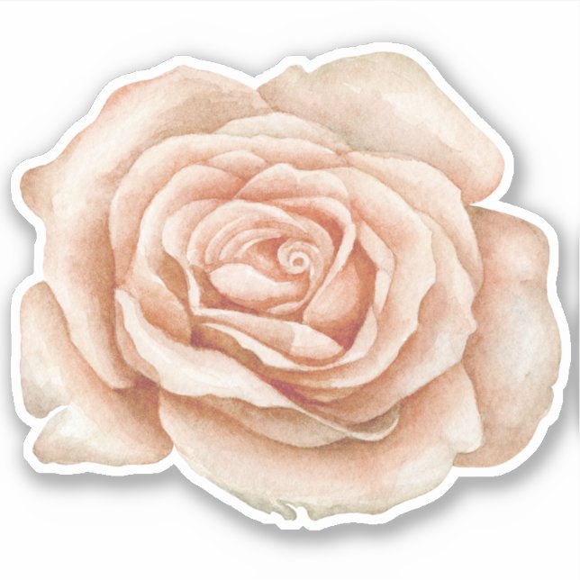 Watercolor Rose Flower Sticker (Front)
