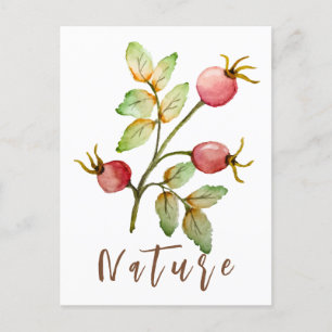 Watercolor rose hips holiday postcard
