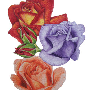 watercolor rosees and rose buds floral cottagegore cushion