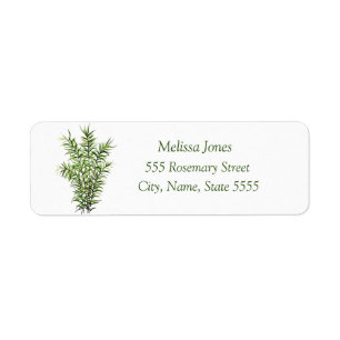 Watercolor Rosemary Herb Greenery Plant Rustic Lab