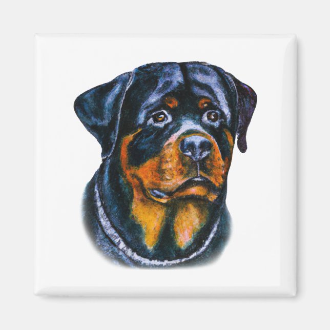 Watercolor Rottweiler Magnet (Front)