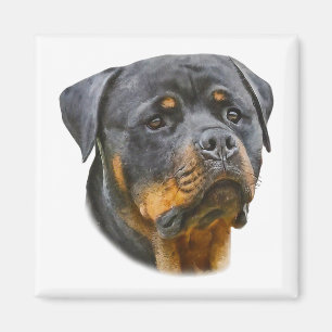 Watercolor Rottweiler Magnet