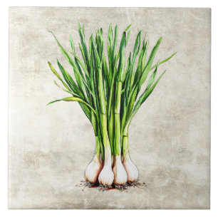Watercolor Rustic Scallions Faux Texture Tile