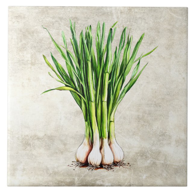 Watercolor Rustic Scallions Faux Texture  Tile (Front)