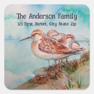 Watercolor Sandpiper Water Bird Nature Art Square Sticker