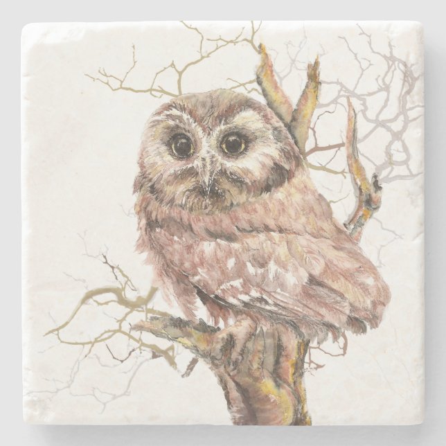 Watercolor Saw Whet Cute Little Owl Bird Nature Stone Coaster (Front)