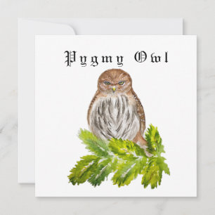 Watercolor Saw Whet Cute Little Owls Invitation