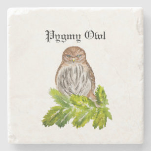 Watercolor Saw Whet Cute Little Owls Stone Coaster