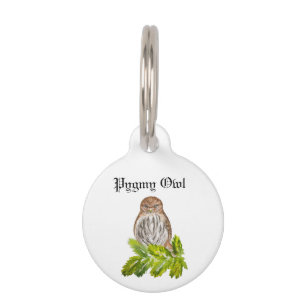 Watercolor Saw Whet Cute Little Pet Tag