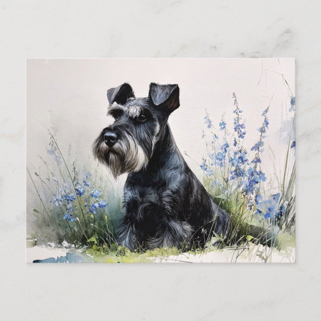 Watercolor Schnauzer Postcard (Front)