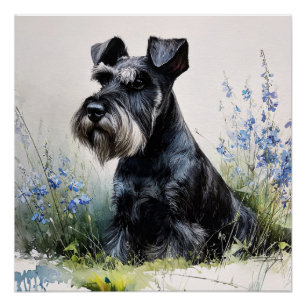 Watercolor Schnauzer Poster