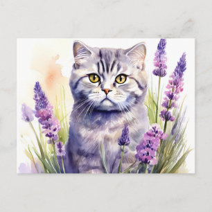 Watercolor Scottish Fold Cat in Lavender Field Postcard