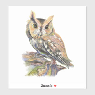 Watercolor Screech Owl Bird Nature Art