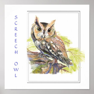 Watercolor, Screech Owl, Bird Print