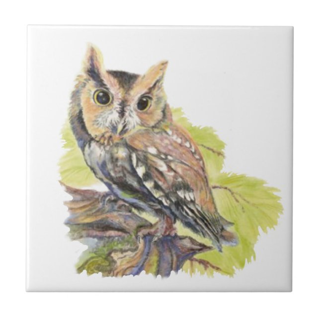 Watercolor Screech Owl Bird Wildlife Tile (Front)