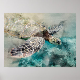 Watercolor Sea turtle Poster