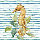 Watercolor SEAHORSE -Coastal, Beach Nautical  