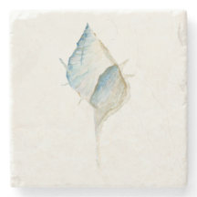 Watercolor Seashell