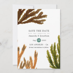 Watercolor Seaweed Beach Themed Wedding Save The Date