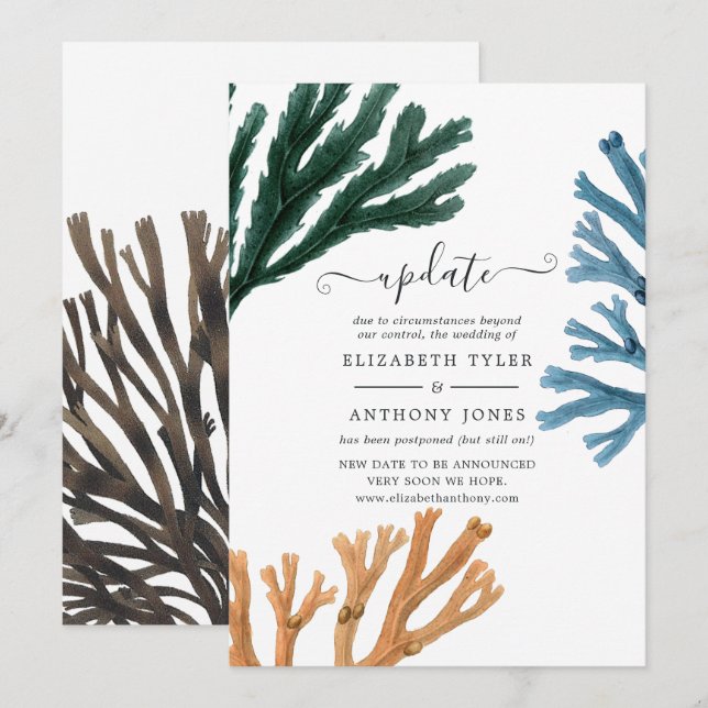 Watercolor Seaweed Beach Themed Wedding Update Invitation (Front/Back)