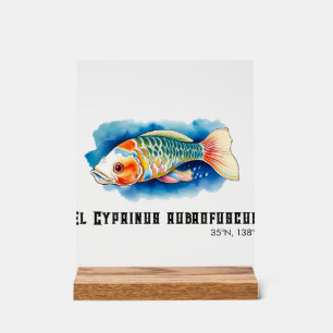 Watercolor Series: Koi Fish Acrylic Sign