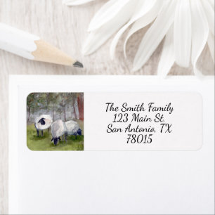 Watercolor Sheep Return Address
