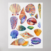 Watercolor Shells