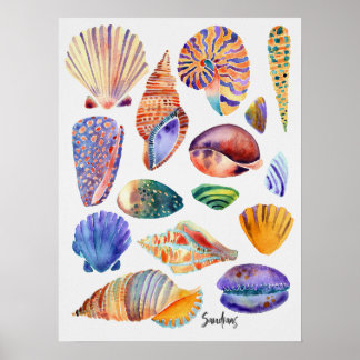 Watercolor Shells Poster