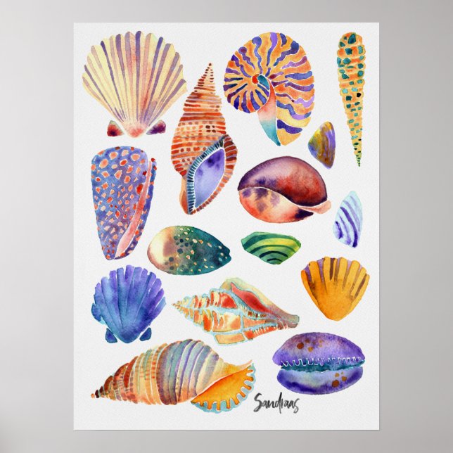 Watercolor Shells Poster (Front)