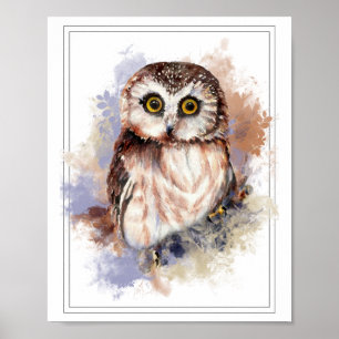Watercolor Shocked Looking  Saw Whet Owl Poster