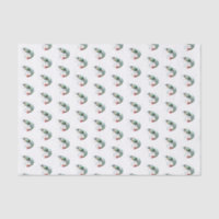 Watercolor Shrimp Tissue Paper