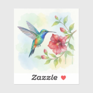 Watercolor Small Hummingbird