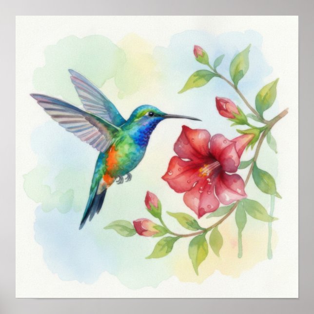 Watercolor Small Hummingbird Poster (Front)