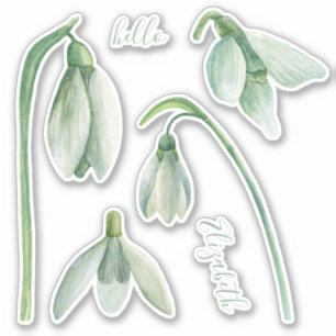 Watercolor snowdrop. Spring flowers. Floral name