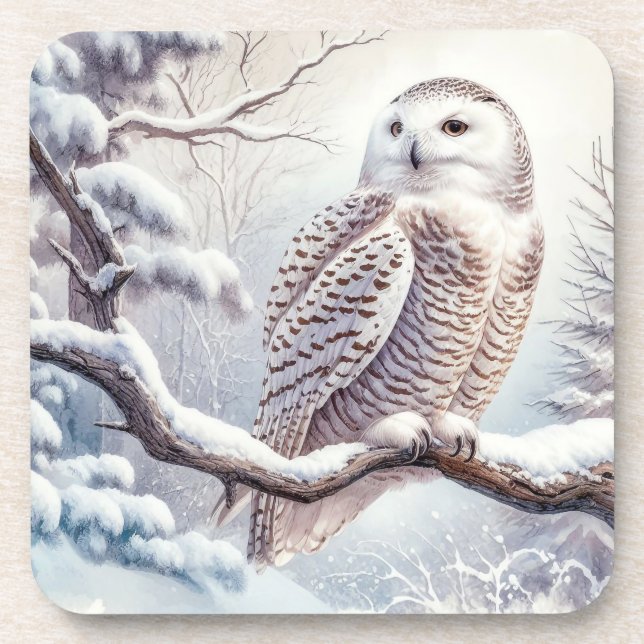 Watercolor Snowy Owl Coaster (Front)