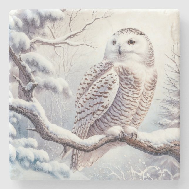 Watercolor Snowy Owl Stone Coaster (Front)
